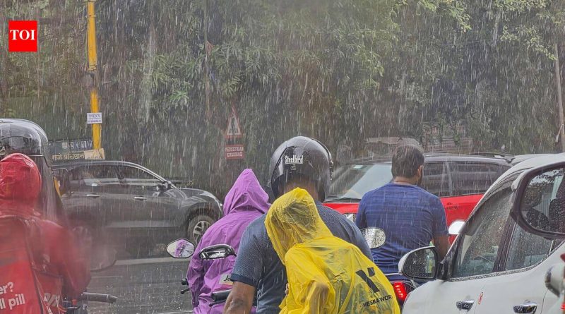 IMD ने जारी केलेल्या रेड अलर्टनंतर पुणे शहर आणि जिल्ह्यात 6 जुलै रोजी शाळांना सुट्टी जाहीर करण्यात आली आहे | पुणे बातम्या