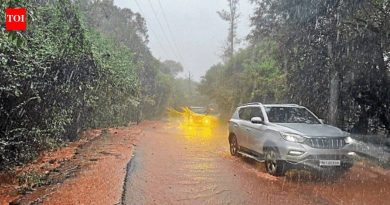 महाराष्ट्रातील घाटात पावसाचा जोर कायम, महाबळेश्वरला दरड कोसळली | पुणे बातम्या