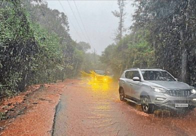 महाराष्ट्रातील घाटात पावसाचा जोर कायम, महाबळेश्वरला दरड कोसळली | पुणे बातम्या