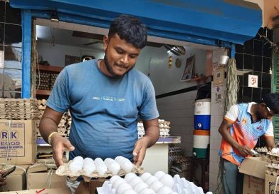 पुरवठा कमी झाल्याने अंड्याच्या किमतीत वाढ होते, पोल्ट्री फीडची किंमत वाढते पुरवठा कमी झाल्याने अंड्याच्या किमतीत वाढ होते, पोल्ट्री फीडची किंमत वाढते