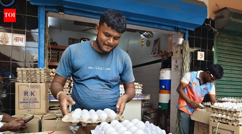 पुरवठा कमी झाल्याने अंड्याच्या किमतीत वाढ होते, पोल्ट्री फीडची किंमत वाढते पुरवठा कमी झाल्याने अंड्याच्या किमतीत वाढ होते, पोल्ट्री फीडची किंमत वाढते